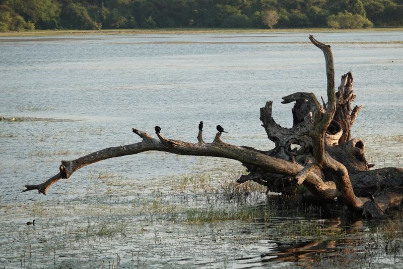 Viewing photos→2019→2019-02-14→114