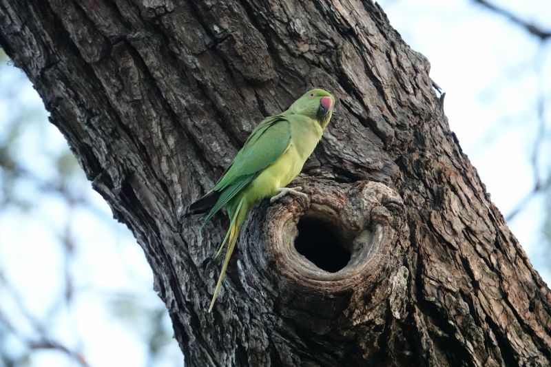 Viewing photos→2019→2019-02-14→124