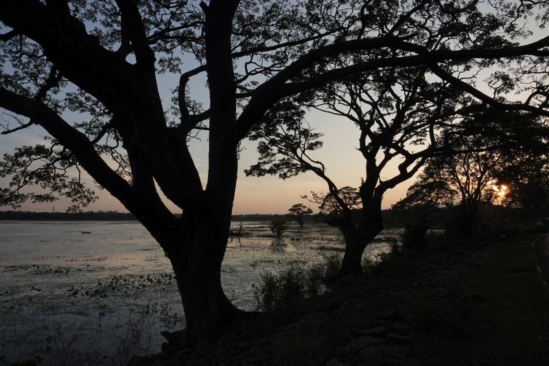 Viewing photos→2019→2019-02-14→131