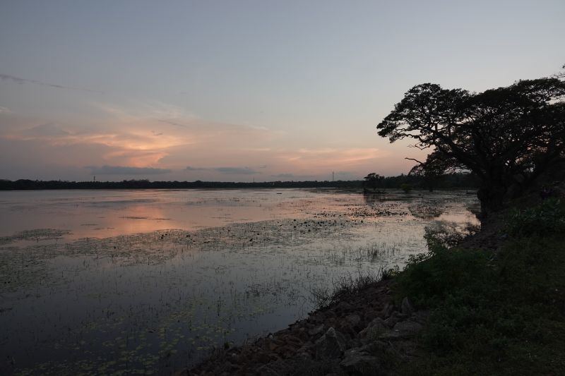 Viewing photos→2019→2019-02-14→138