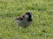 07.jpeg - 2019:02:17 11:25:24