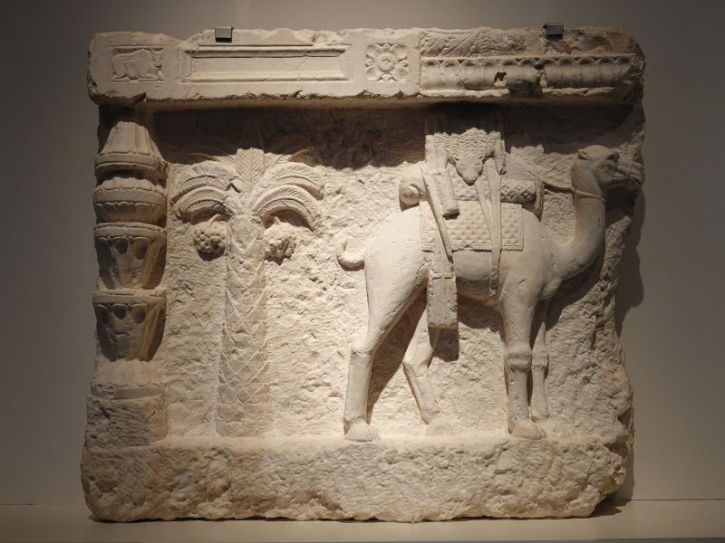 Viewing photos→2019→2019-02-17→30