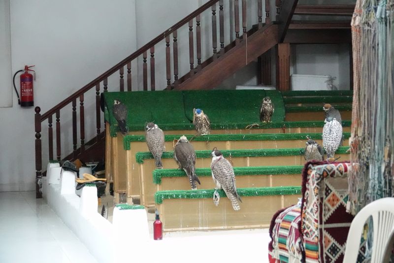 Viewing photos→2019→2019-02-17→47