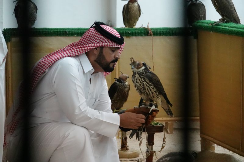 Viewing photos→2019→2019-02-17→50