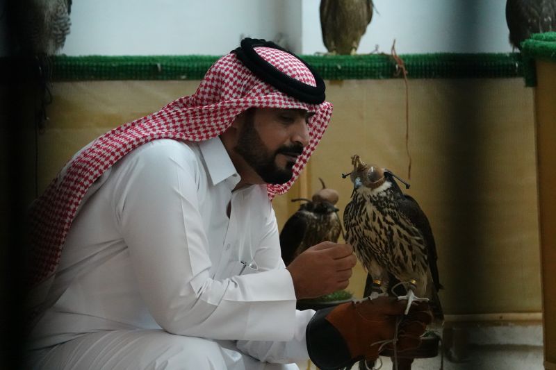 Viewing photos→2019→2019-02-17→51