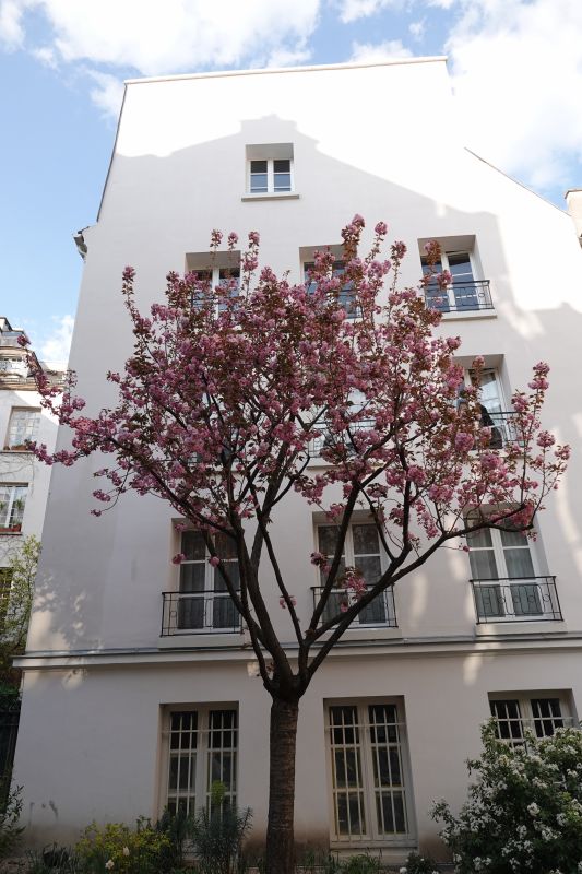 Viewing photos→2019→2019-03-31→011