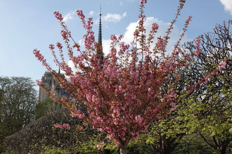 Viewing photos→2019→2019-03-31→015