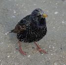 072.jpeg - 2019:04:03 16:46:09