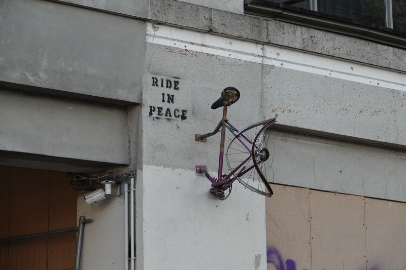 Viewing photos→2019→2019-03-31→076