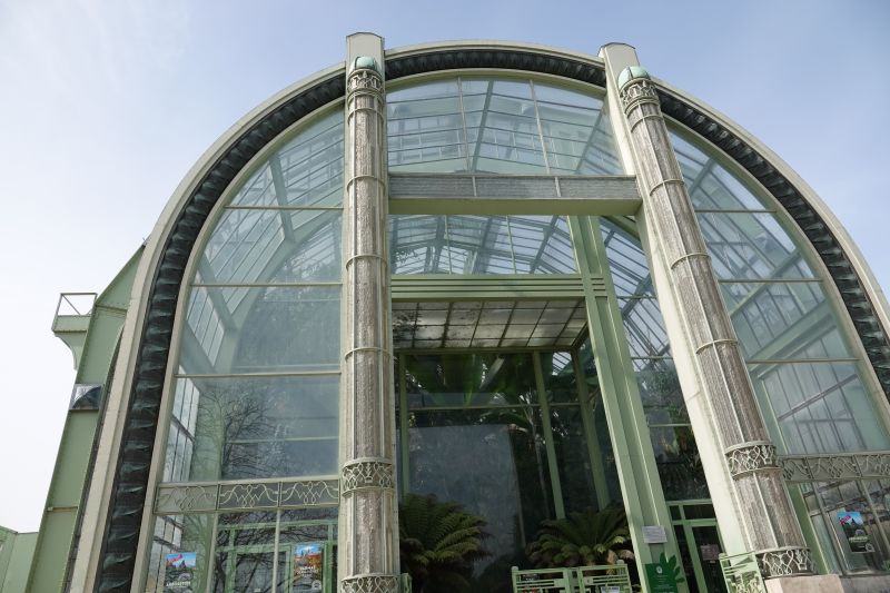 Viewing photos→2019→2019-03-31→097