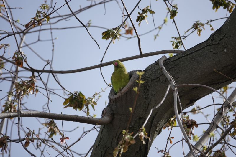 Viewing photos→2019→2019-03-31→101