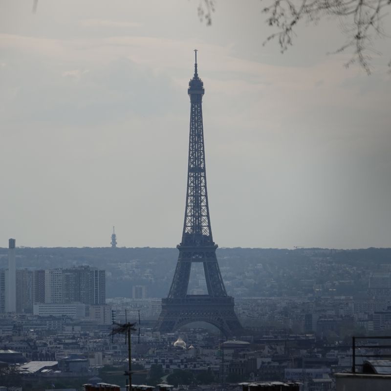 Viewing photos→2019→2019-03-31→121