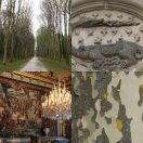 2019-04-08<br/>
<b>Château de Fontainebleau</b>
