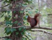 07.jpeg - 2019:04:08 11:15:46