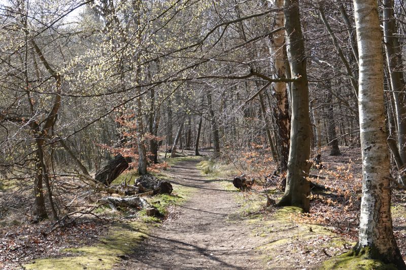 Viewing photos→2019→2019-04-14→04