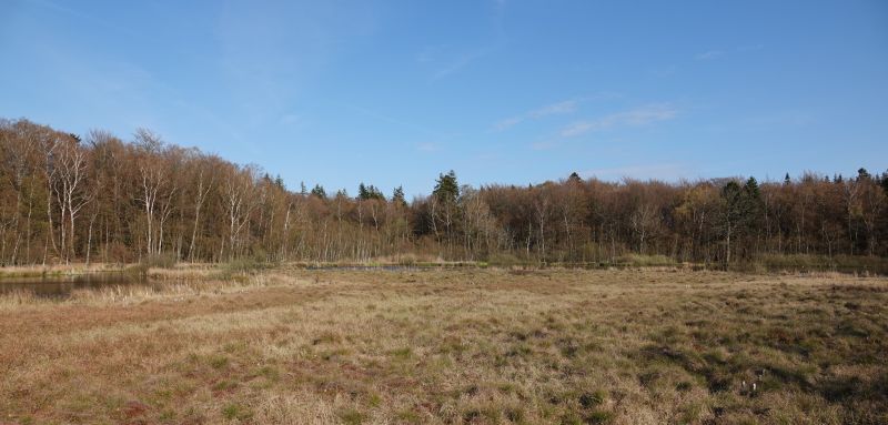 Viewing photos→2019→2019-04-14→05