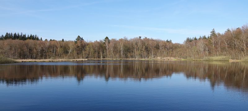 Viewing photos→2019→2019-04-14→08