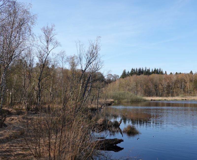 Viewing photos→2019→2019-04-14→09