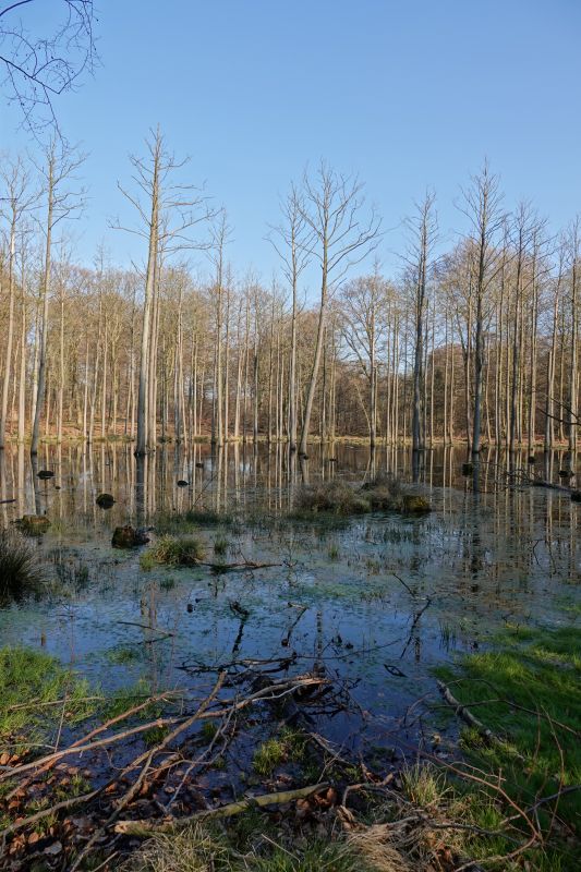 Viewing photos→2019→2019-04-14→13