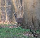 22.jpeg - 2019:04:14 16:41:29