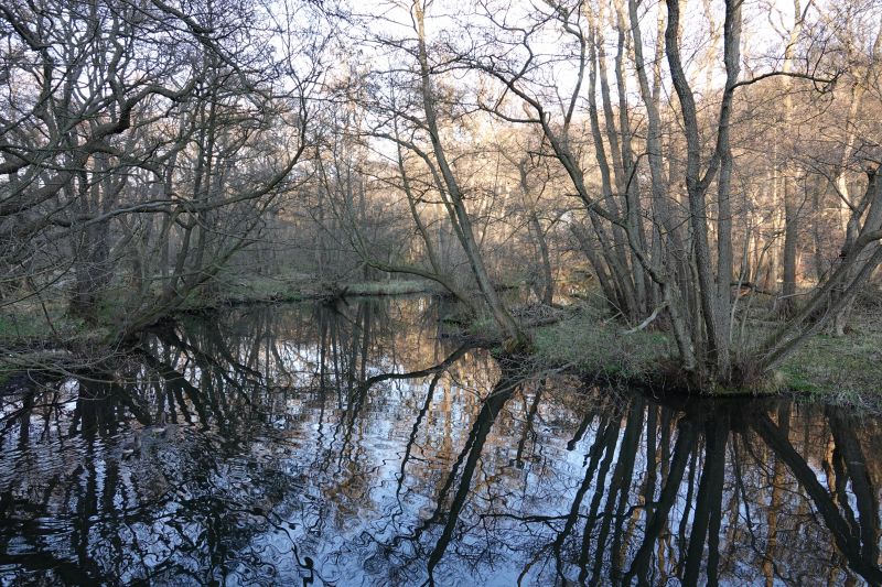 Viewing photos→2019→2019-04-14→24