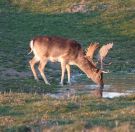 42.jpeg - 2019:04:14 17:42:51