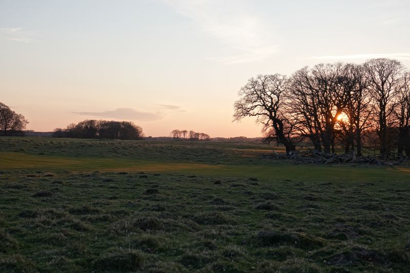 Viewing photos→2019→2019-04-14→46