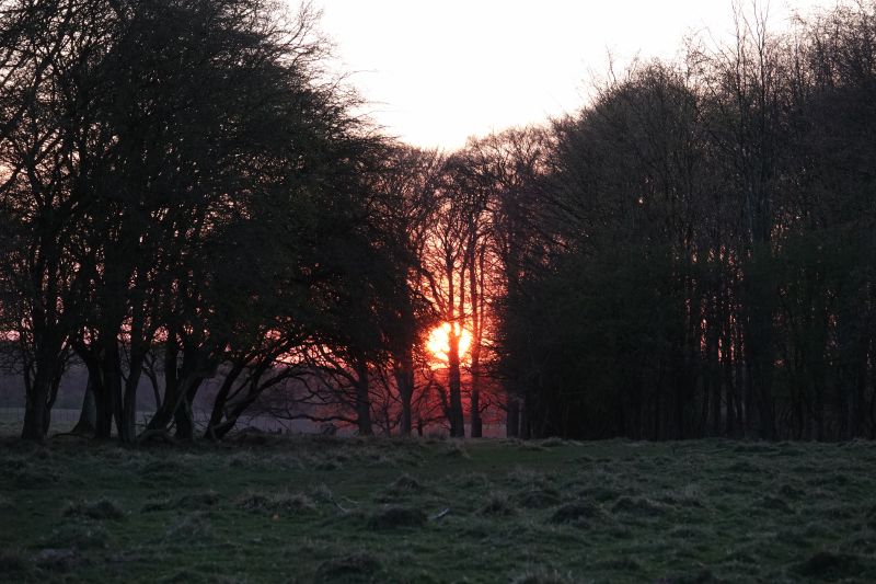 Viewing photos→2019→2019-04-14→50