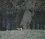 53.jpeg - 2019:04:14 18:08:23