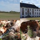 2019-04-20<br/>
<b>Vipperød to Holbæk</b>
