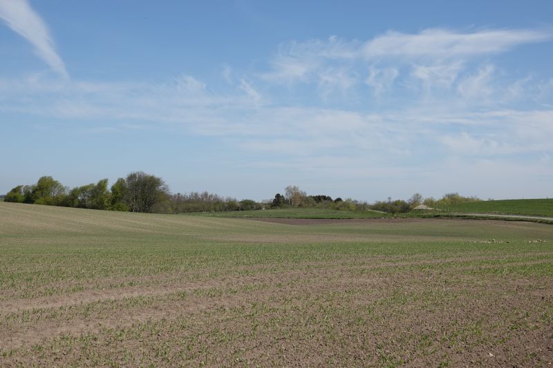 Viewing photos→2019→2019-04-20→01