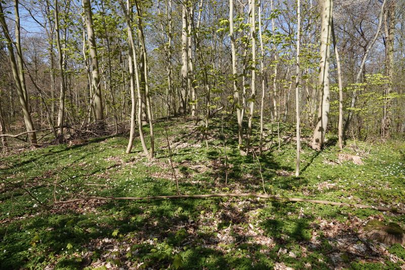 Viewing photos→2019→2019-04-20→09