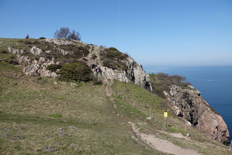 Viewing photos→2019→2019-04-21→01