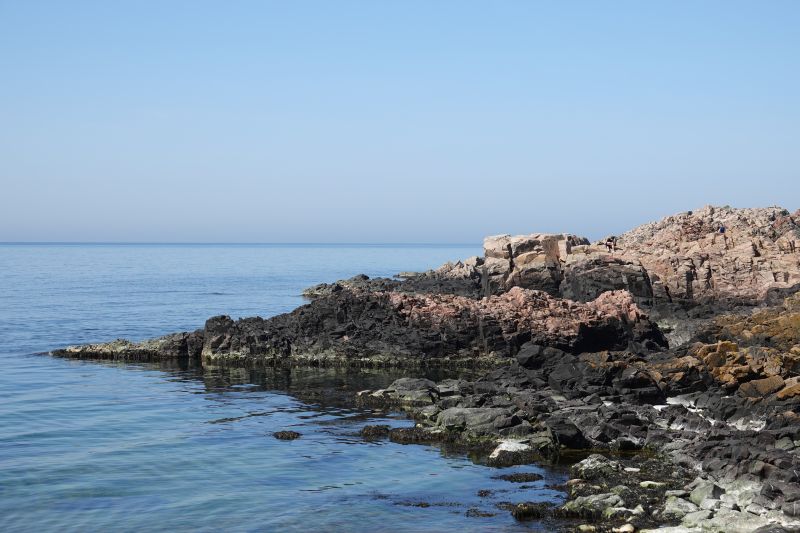 Viewing photos→2019→2019-04-21→11