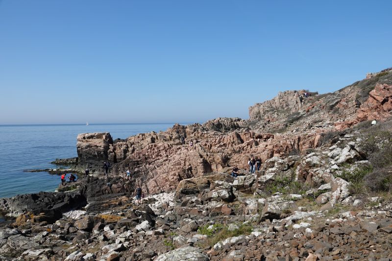 Viewing photos→2019→2019-04-21→12