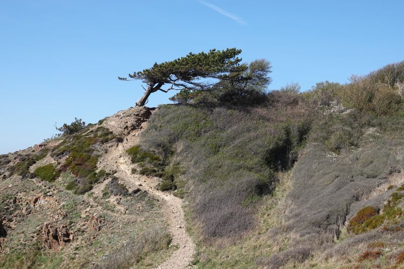 Viewing photos→2019→2019-04-21→13