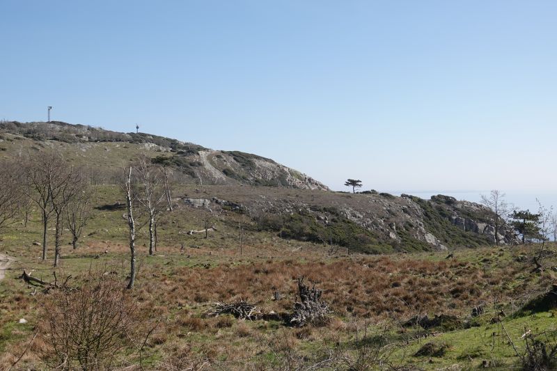 Viewing photos→2019→2019-04-21→16