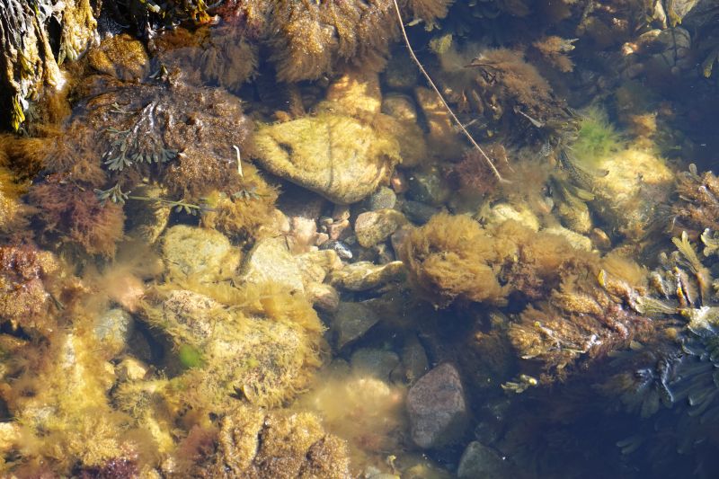 Viewing photos→2019→2019-04-21→21