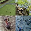 2019-05-04 - 2019-05-05<br/>
<b>Climbing at Utby, Gothenburg</b>
