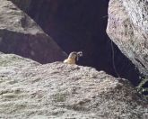 05.jpeg - 2019:05:04 10:28:08