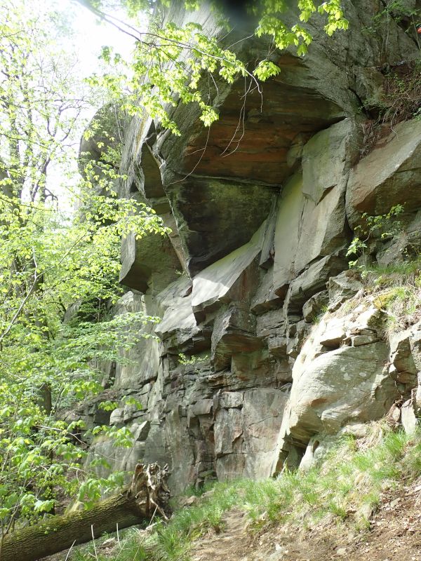 Viewing photos→2019→2019-05-04→10