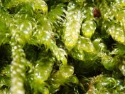 11.jpg - 2019:05:04 11:26:46