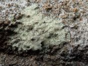 15.jpg - 2019:05:04 11:35:24