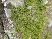 20.jpg - 2019:05:04 11:40:02