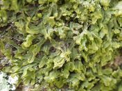 21.jpg - 2019:05:04 11:40:15