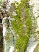 22.jpg - 2019:05:04 11:40:36