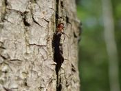 24.jpg - 2019:05:04 11:44:25