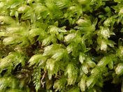 27.jpg - 2019:05:04 11:46:58