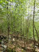 28.jpg - 2019:05:04 11:50:06