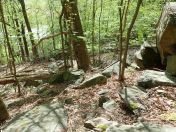 31.jpg - 2019:05:04 11:50:59